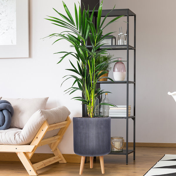 IDEALIST Ribbed Cylinder Planter on Legs, Round Pot Plant Stand Indoor